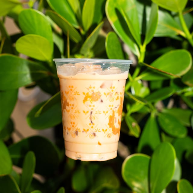 Iced Latte.